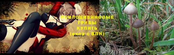 молекула духа Алексин