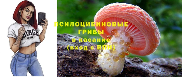 молекула духа Алексин