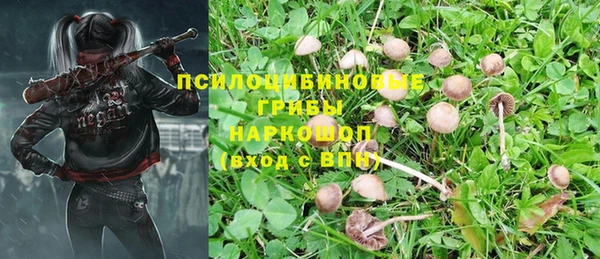 молекула духа Алексин